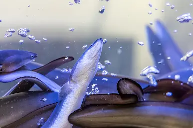 브랜드 스토리 이미지